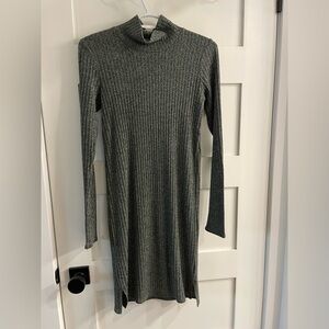 Aritzia Wilfred Long Sleeve Dress